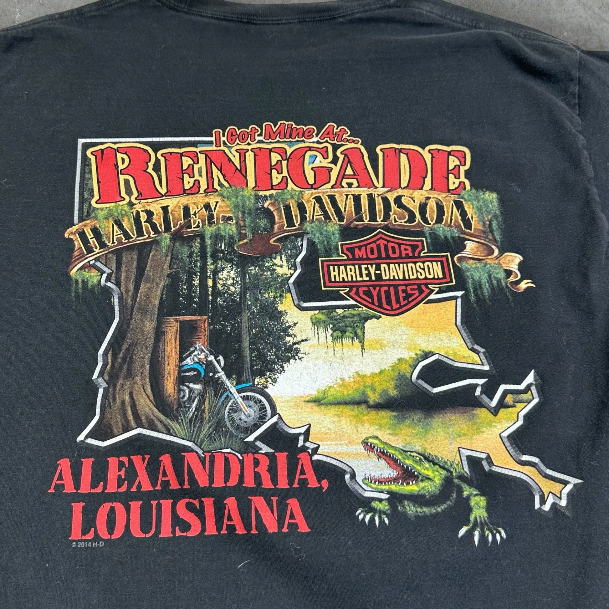 Harley Davidson Alexandria Louisiana Bayou T-Shirt
