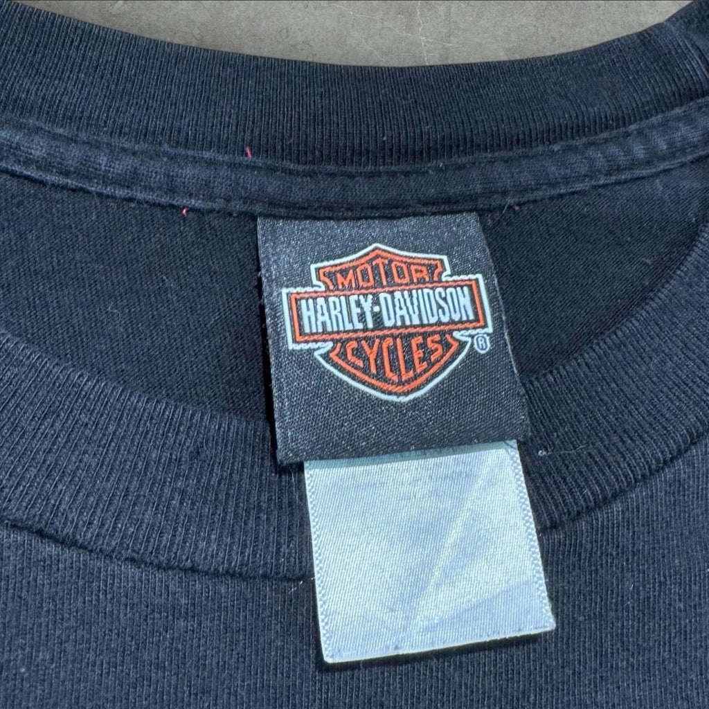 Harley Davidson Aurora Colorado "Sinister Attitude" LS Large