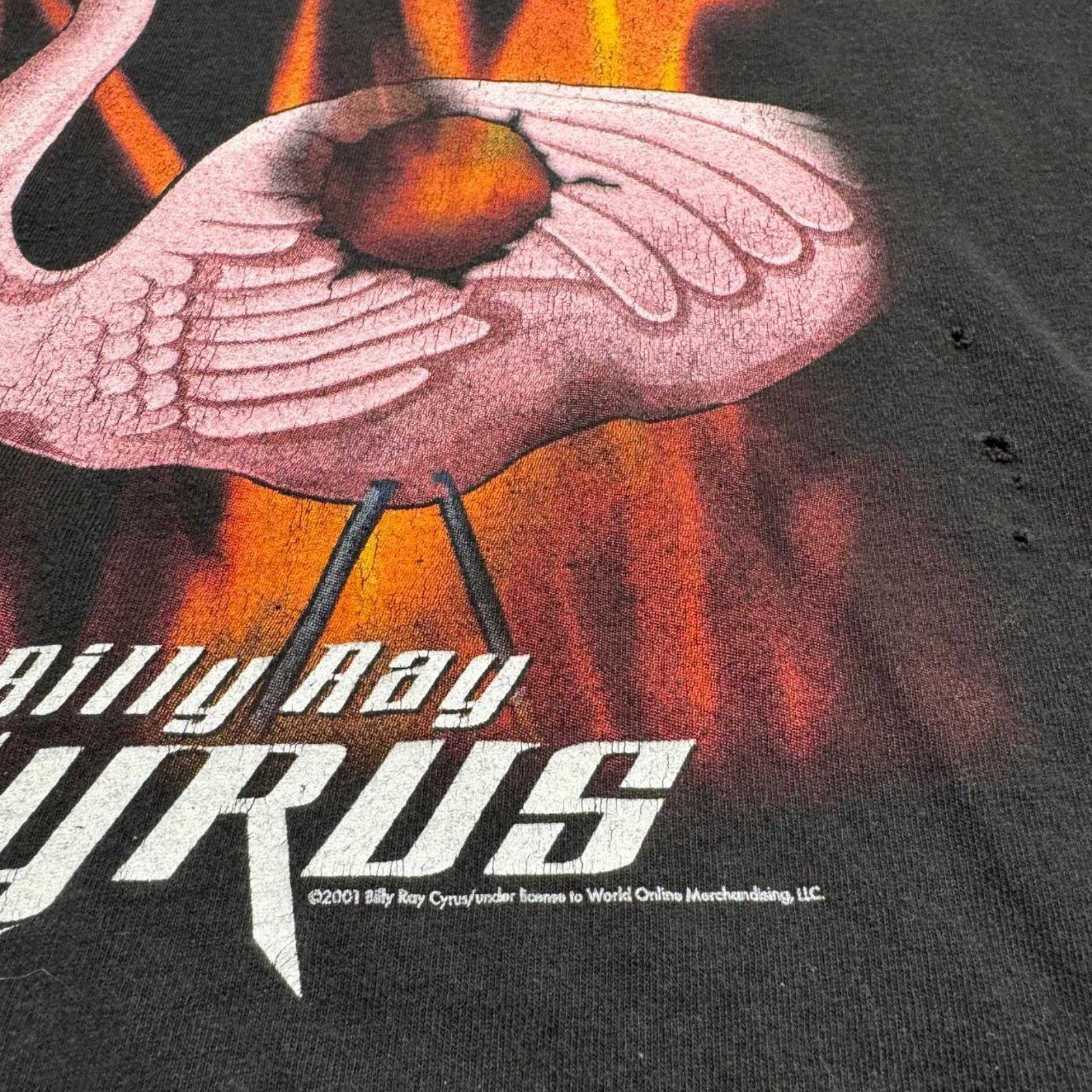 Billy Ray Cyrus Tour Tee "Burn Down the Trailer Park" 2001